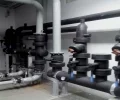 Zdjęcie z galerii